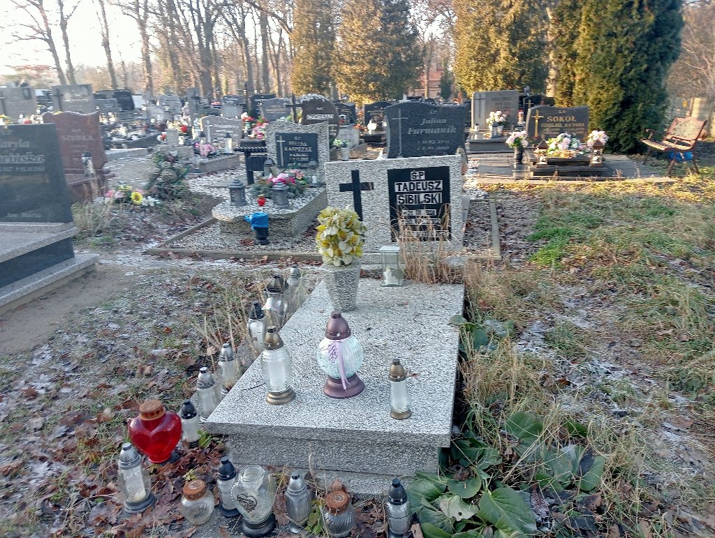Grób TADEUSZ SIBILSKI