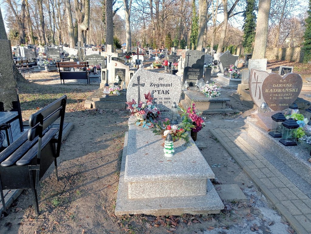 Grób ZYGMUNT PTAK